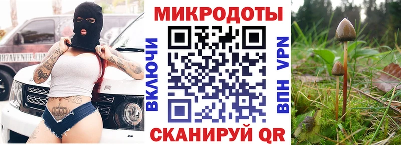 kraken ТОР  shop как зайти  Талдом  Псилоцибиновые грибы Cubensis  дарнет шоп 